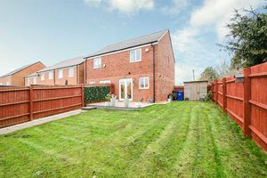 Photo 22- click for photo gallery